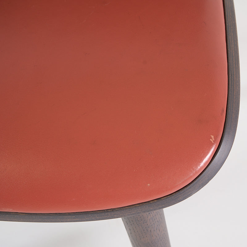 Nut Dining Chair-Detail Image-1