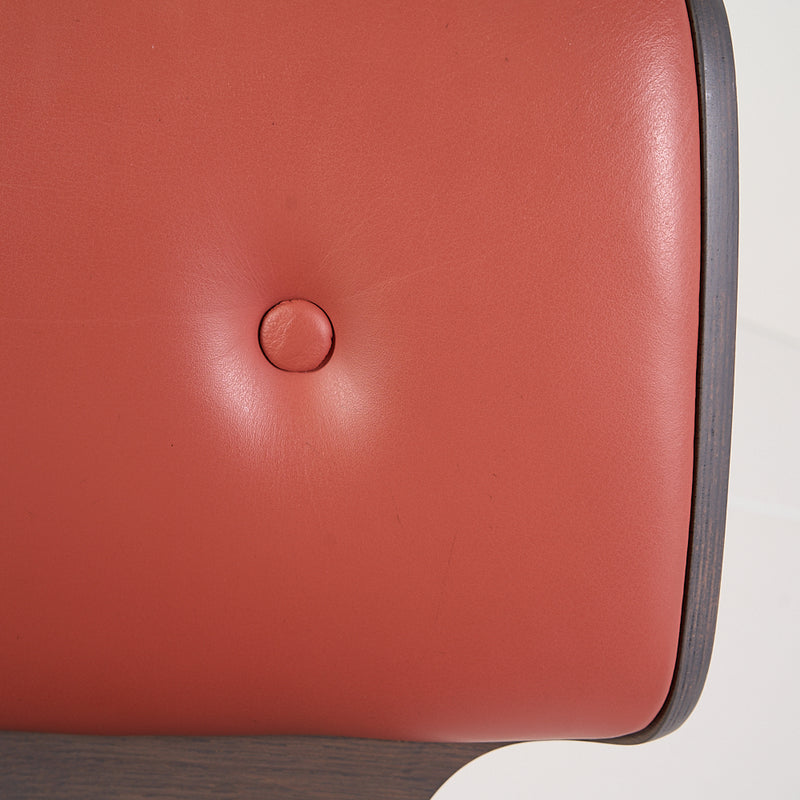 Nut Dining Chair-Detail Image-2