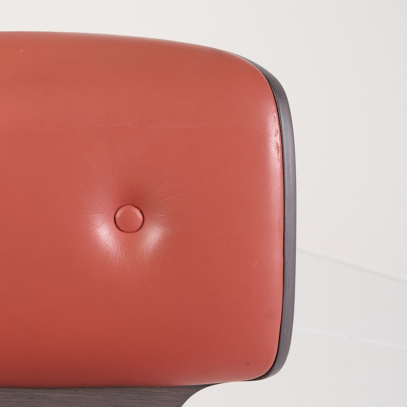 Nut Dining Chair-Detail Image-1