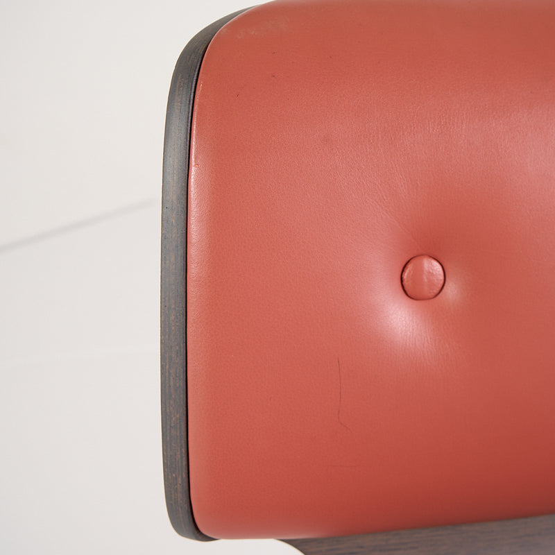 Nut Dining Chair-Detail Image-3