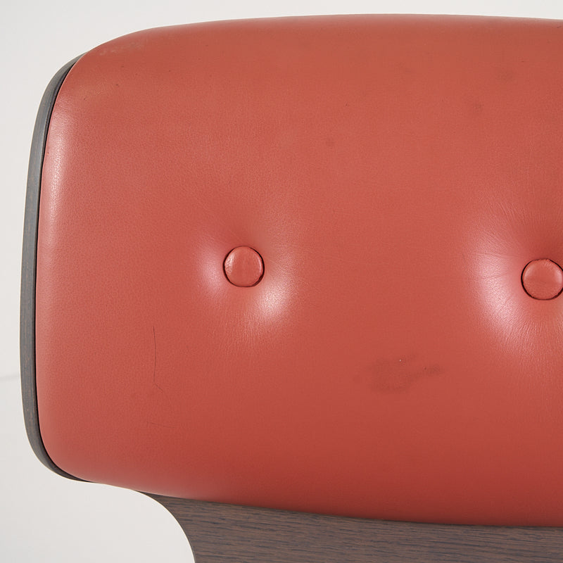 Nut Dining Chair-Detail Image-4