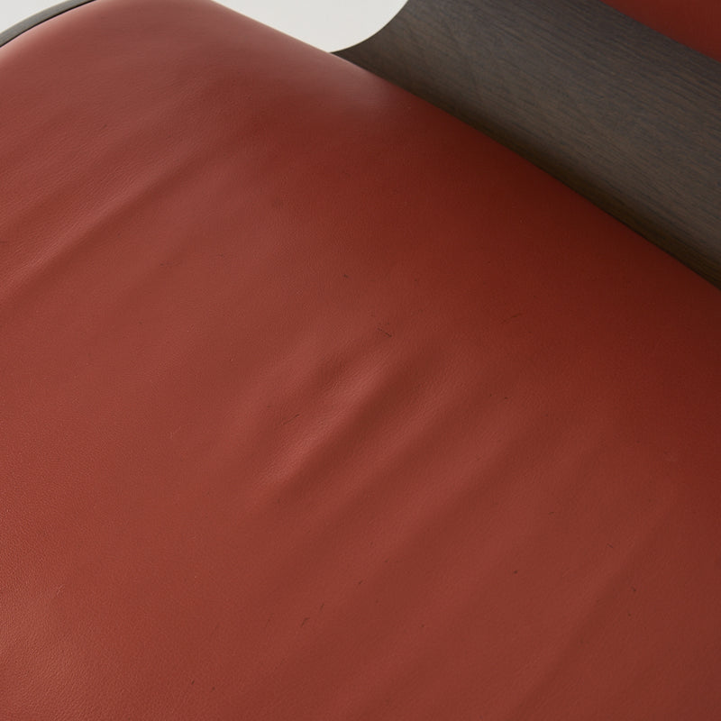 Nut Dining Chair-Detail Image-1