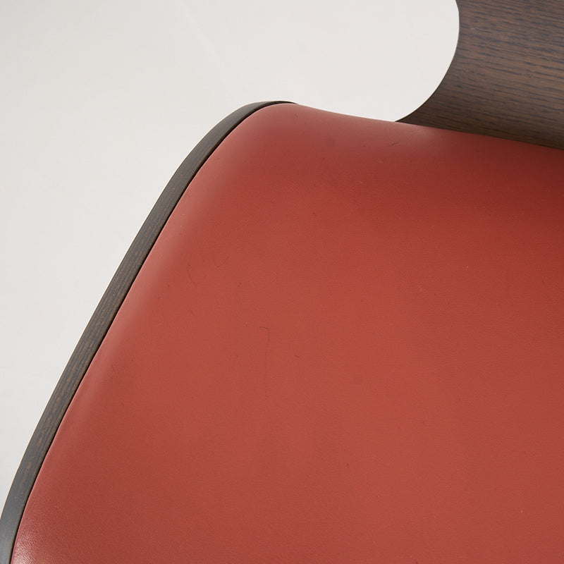 Nut Dining Chair-Detail Image-4