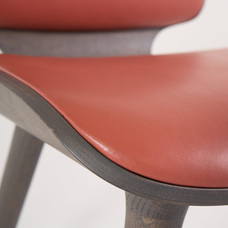 Nut Dining Chair-Detail Image-2